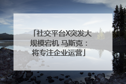 社交平台X突发大规模宕机 马斯克：将专注企业运营