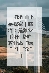 祁连山下是我家｜临泽：荒滩变良田 戈壁农业添“绿”生“金”