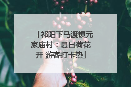 祁阳下马渡镇元家庙村：夏日荷花开 游客打卡热