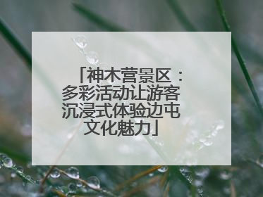 神木营景区：多彩活动让游客沉浸式体验边屯文化魅力