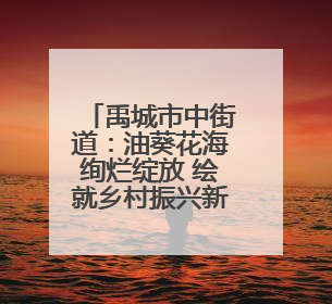 禹城市中街道：油葵花海绚烂绽放 绘就乡村振兴新画卷