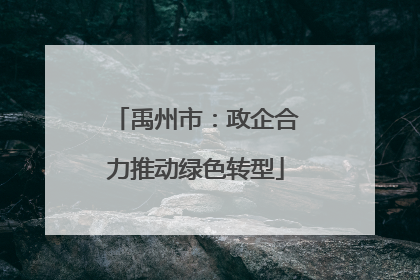 禹州市：政企合力推动绿色转型