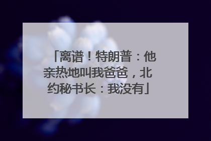 离谱！特朗普：他亲热地叫我爸爸，北约秘书长：我没有