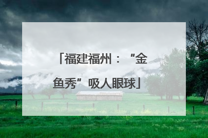 福建福州：“金鱼秀”吸人眼球