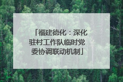 福建德化：深化驻村工作队临时党委协调联动机制