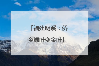 福建明溪：侨乡绿叶变金叶