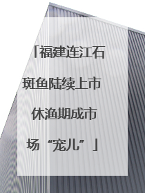 福建连江石斑鱼陆续上市 休渔期成市场“宠儿”