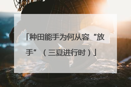 种田能手为何从容“放手”（三夏进行时）