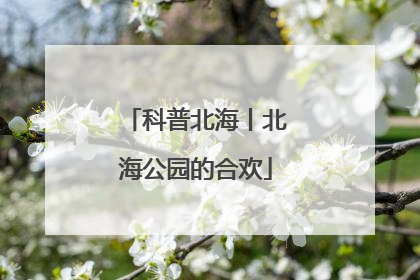 科普北海丨北海公园的合欢