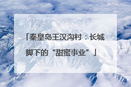 秦皇岛王汉沟村：长城脚下的“甜蜜事业”
