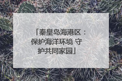 秦皇岛海港区：保护海洋环境 守护共同家园