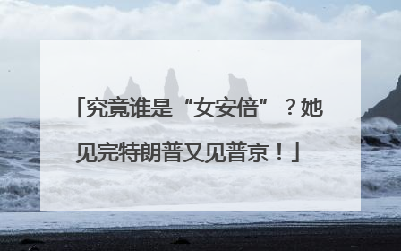 究竟谁是“女安倍”？她见完特朗普又见普京！