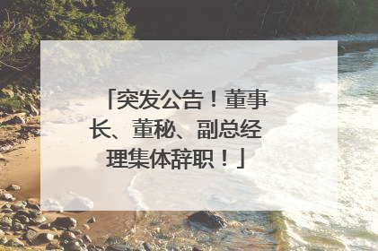 突发公告！董事长、董秘、副总经理集体辞职！