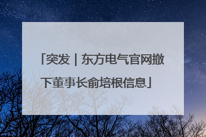 突发｜东方电气官网撤下董事长俞培根信息