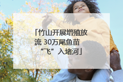 竹山开展增殖放流 30万尾鱼苗“飞”入堵河