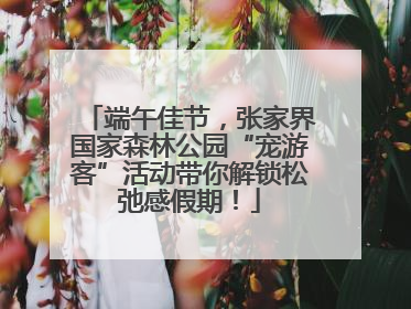 端午佳节，张家界国家森林公园“宠游客”活动带你解锁松弛感假期！