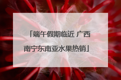 端午假期临近 广西南宁东南亚水果热销
