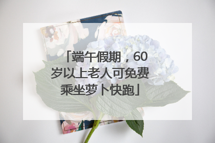 端午假期，60岁以上老人可免费乘坐萝卜快跑