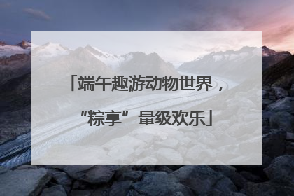端午趣游动物世界，“粽享”量级欢乐