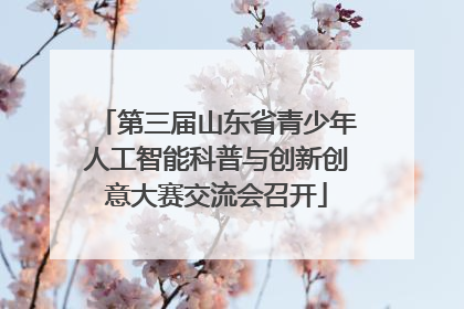第三届山东省青少年人工智能科普与创新创意大赛交流会召开