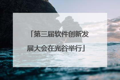 第三届软件创新发展大会在光谷举行