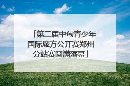 第二届中匈青少年国际魔方公开赛郑州分站赛圆满落幕