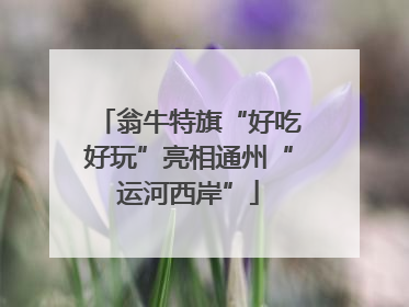 翁牛特旗“好吃好玩”亮相通州“运河西岸”