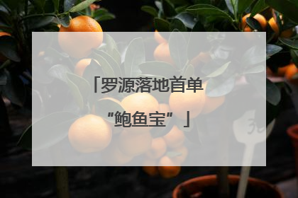 罗源落地首单“鲍鱼宝”
