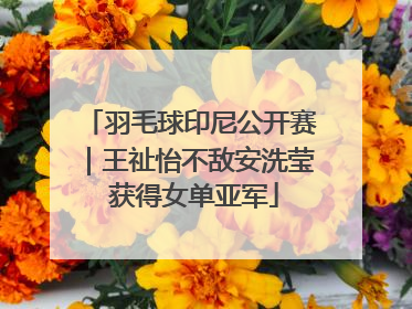 羽毛球印尼公开赛｜王祉怡不敌安洗莹 获得女单亚军