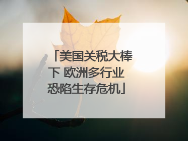 美国关税大棒下 欧洲多行业恐陷生存危机