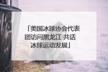 美国冰球协会代表团访问黑龙江 共话冰球运动发展