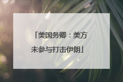 美国务卿：美方未参与打击伊朗