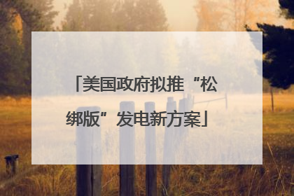 美国政府拟推“松绑版”发电新方案