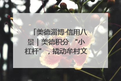 美德淄博·信用八景｜美德积分 “小杠杆”，撬动牟村文明 “大能量”