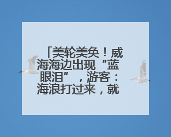 美轮美奂！威海海边出现“蓝眼泪”，游客：海浪打过来，就像星河一样
