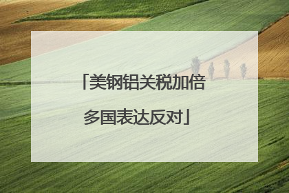 美钢铝关税加倍 多国表达反对