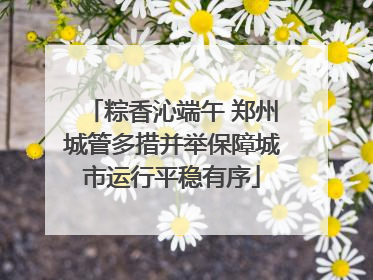 粽香沁端午 郑州城管多措并举保障城市运行平稳有序