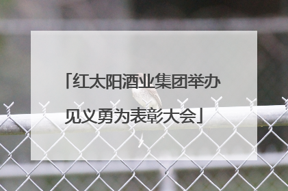 红太阳酒业集团举办见义勇为表彰大会