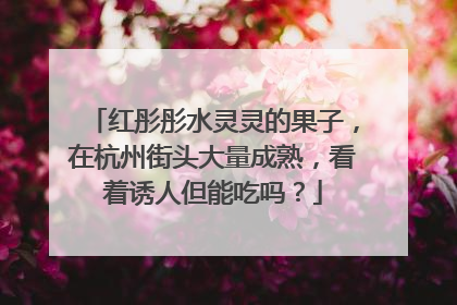 红彤彤水灵灵的果子，在杭州街头大量成熟，看着诱人但能吃吗？