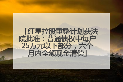 红星控股重整计划获法院批准：普通债权中每户25万元以下部分，六个月内全额现金清偿