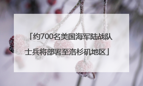约700名美国海军陆战队士兵将部署至洛杉矶地区