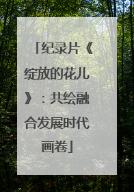 纪录片《绽放的花儿》：共绘融合发展时代画卷