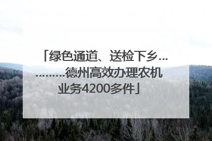 绿色通道、送检下乡…………德州高效办理农机业务4200多件