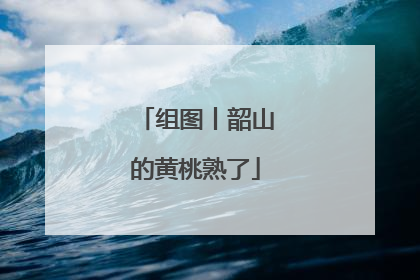 组图丨韶山的黄桃熟了