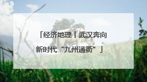 经济地理丨武汉奔向新时代“九州通衢”