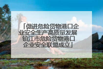 促进危险货物港口企业安全生产高质量发展 镇江市危险货物港口企业安全联盟成立