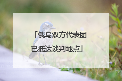 俄乌双方代表团已抵达谈判地点