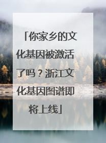 你家乡的文化基因被激活了吗？浙江文化基因图谱即将上线