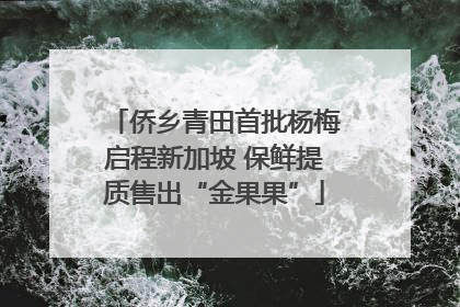 侨乡青田首批杨梅启程新加坡 保鲜提质售出“金果果”
