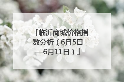 临沂商城价格指数分析（6月5日—6月11日）